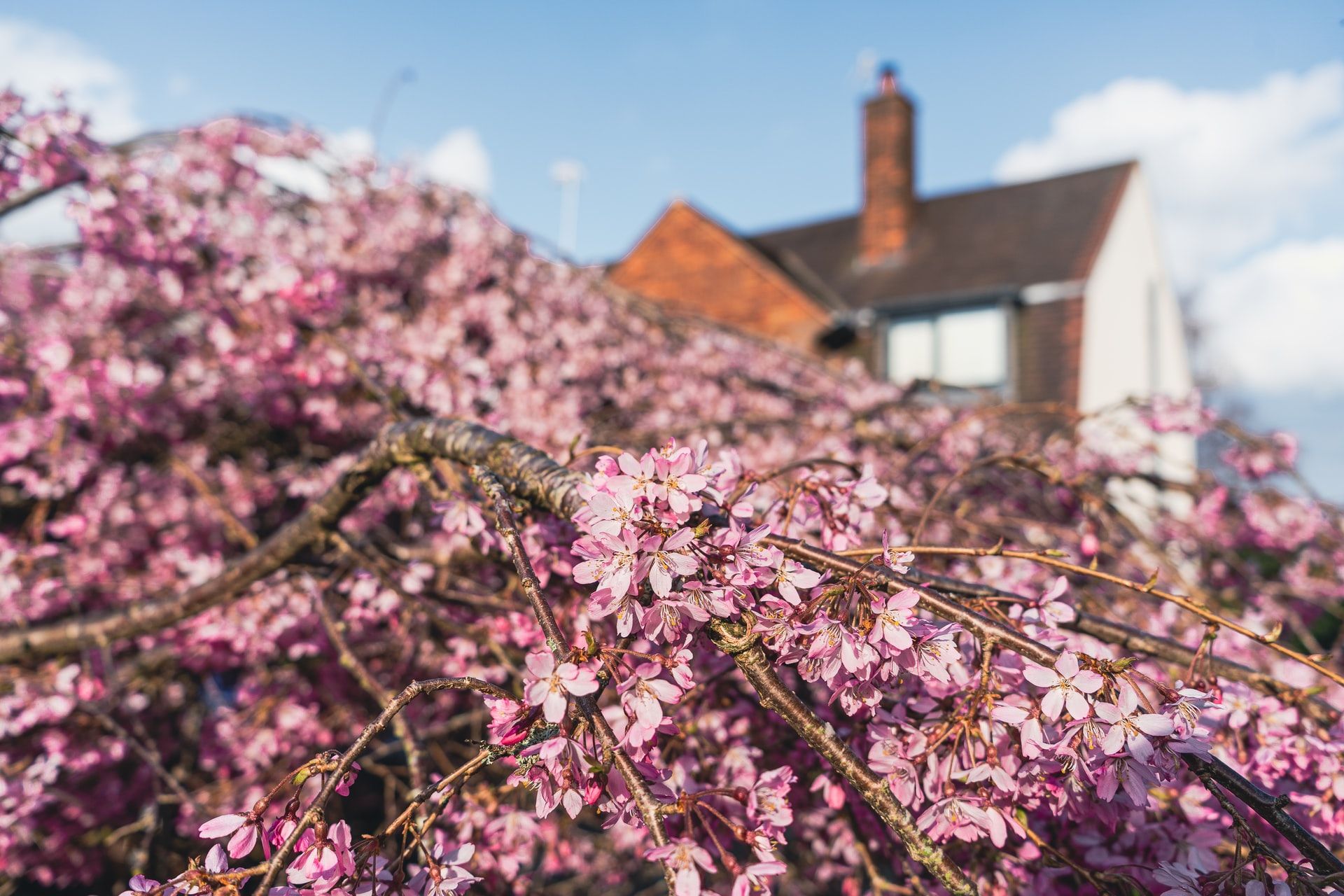 Spring maintenance tips